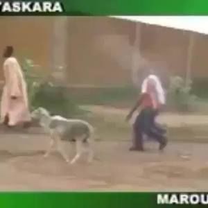 Meet your Posher, Jackson